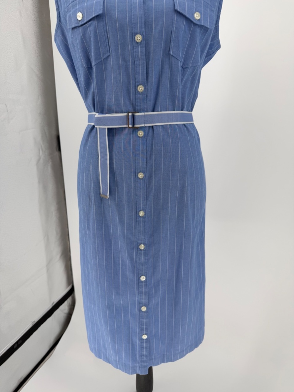 Ann Taylor Blue White Pinstripe Sleeveless Button Front Shirt Dress 12 - Picture 8 of 12